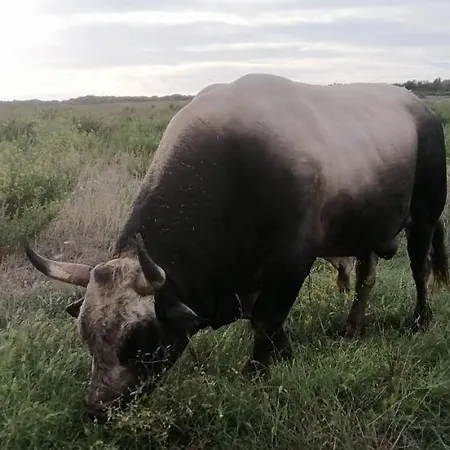 Leonardo Apartment *